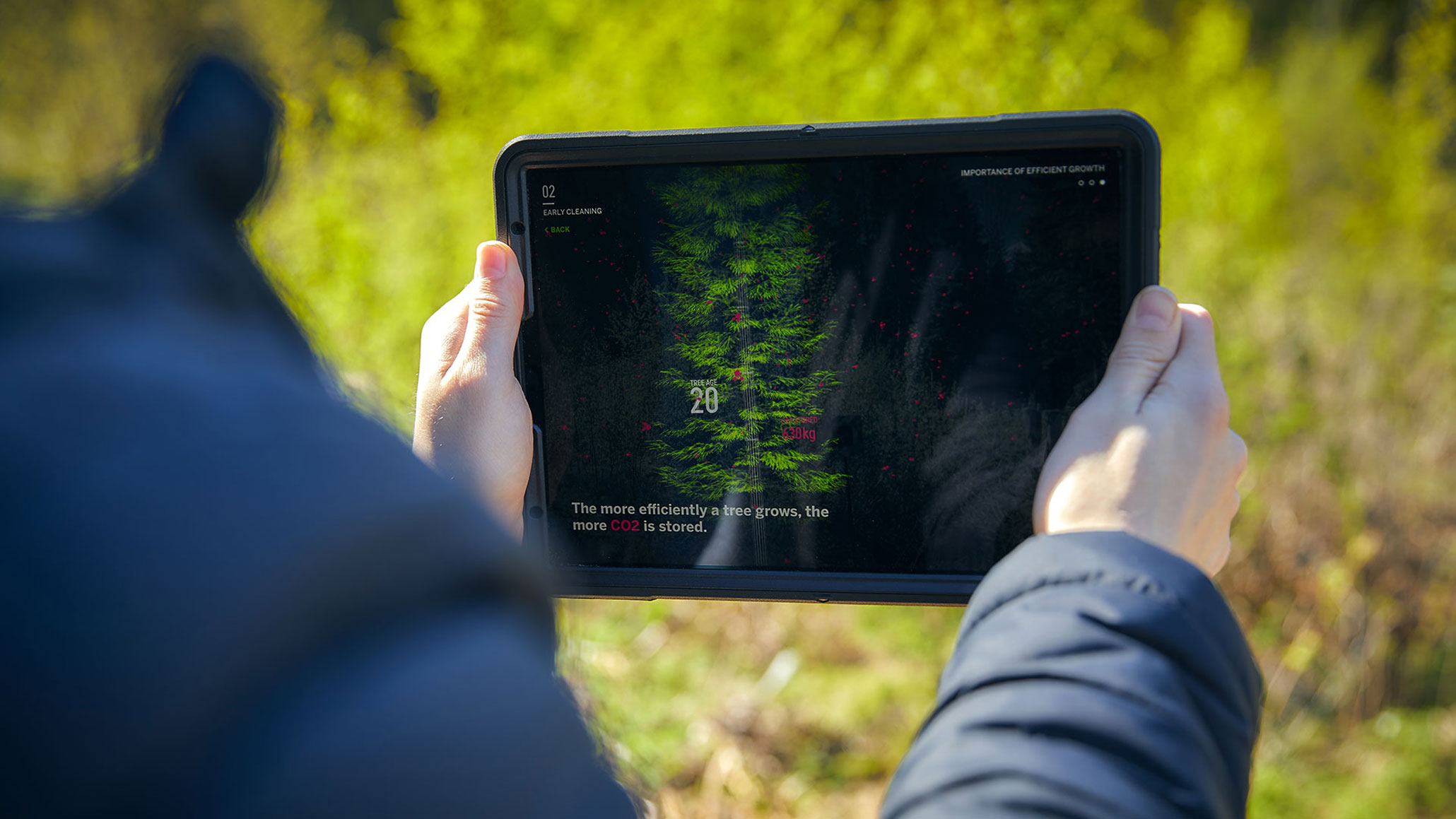 One of the key themes of Nemus Futurum is how sustainable forest management accelerates carbon dioxide storage